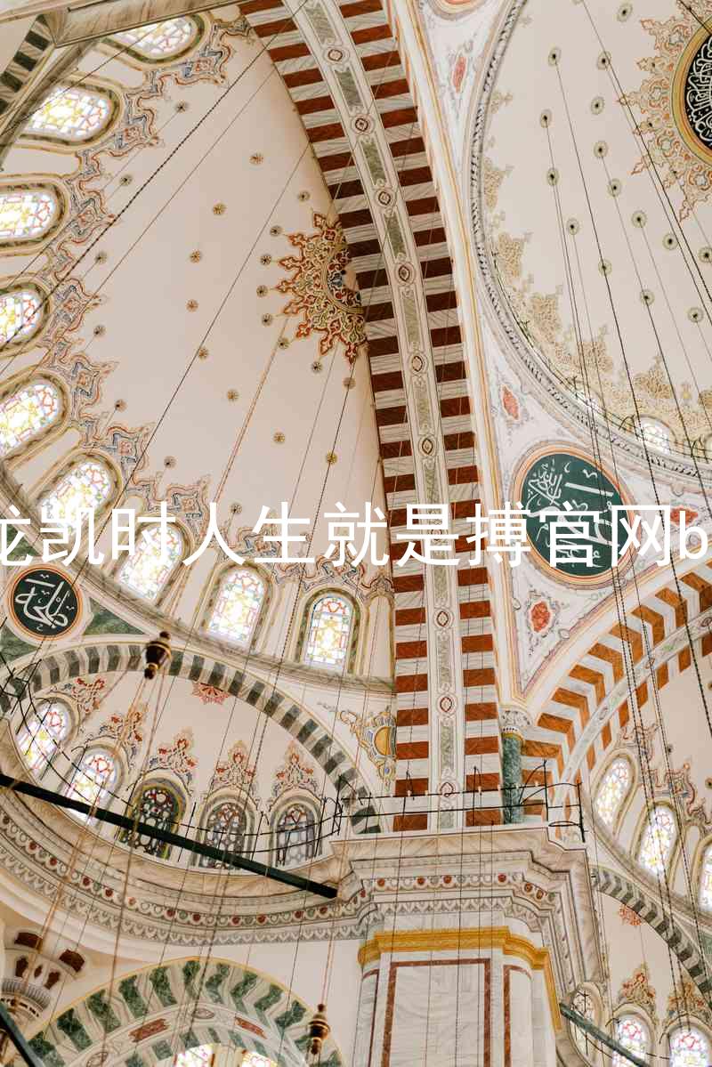 尊龙凯时人生就是搏官网bjl8