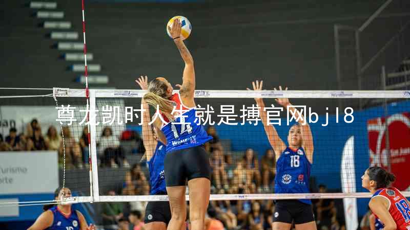 尊龙凯时人生就是搏官网bjl8