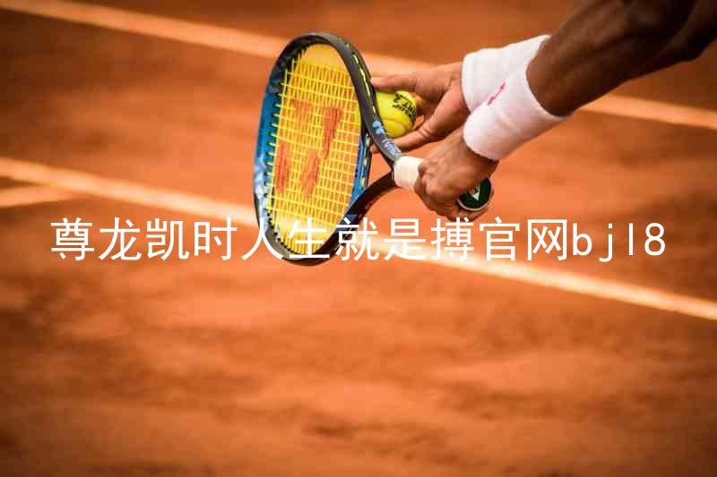 尊龙凯时人生就是搏官网bjl8